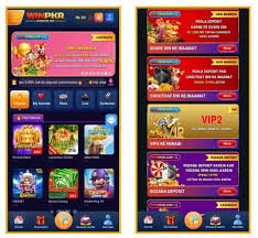 WinPKR VIP Features
